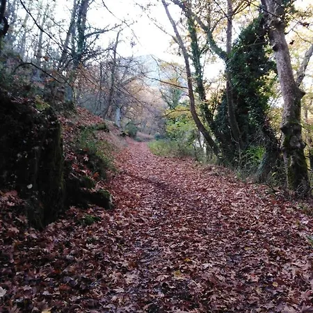 Archontiko Kertezis 招待所 3*