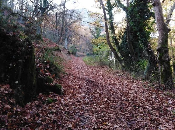 Archontiko Kertezis Pensjonat 3*